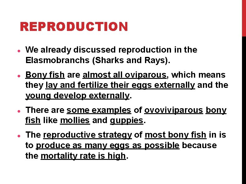 REPRODUCTION We already discussed reproduction in the Elasmobranchs (Sharks and Rays). Bony fish are REPRODUCTION We already discussed reproduction in the Elasmobranchs (Sharks and Rays). Bony fish are