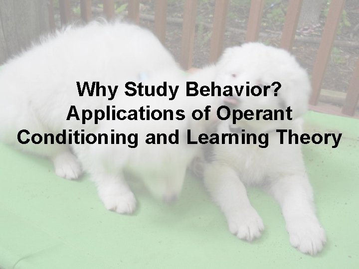 Why Study Behavior? Applications of Operant Conditioning and Learning Theory 