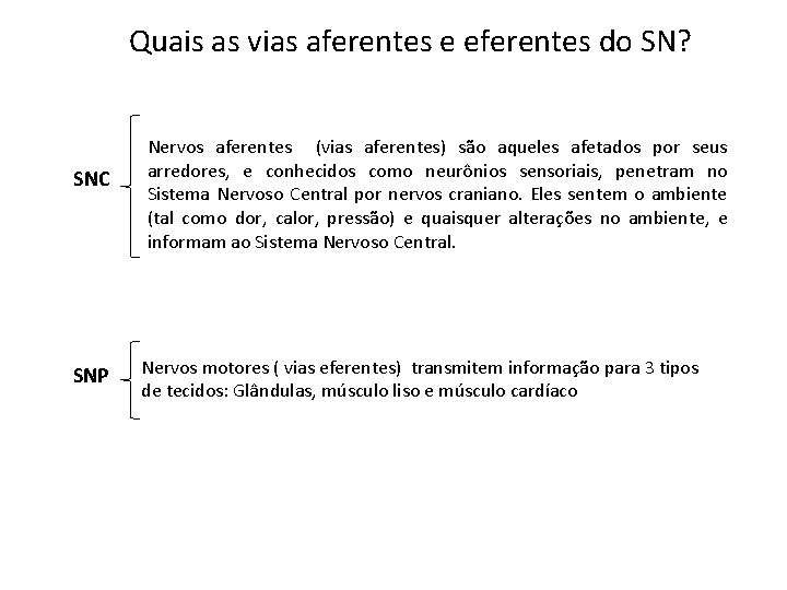 Quais as vias aferentes e eferentes do SN? SNC SNP Nervos aferentes (vias aferentes)