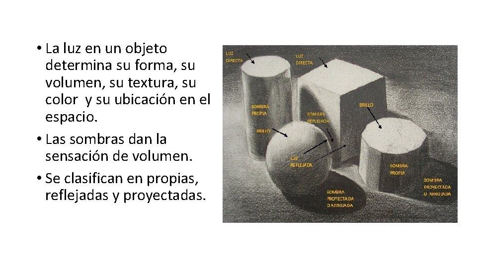  • La luz en un objeto determina su forma, su volumen, su textura,