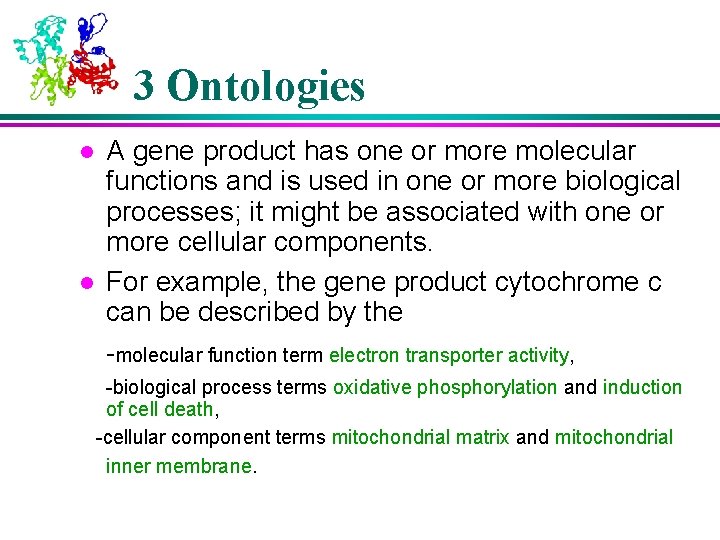 3 Ontologies l l A gene product has one or more molecular functions and