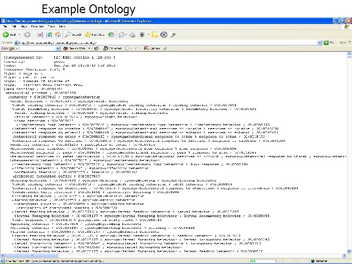 Example Ontology 