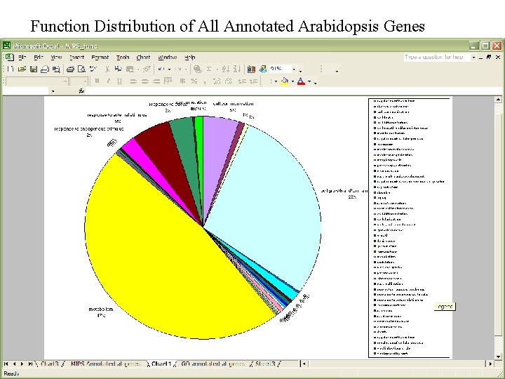 Function Distribution of All Annotated Arabidopsis Genes 