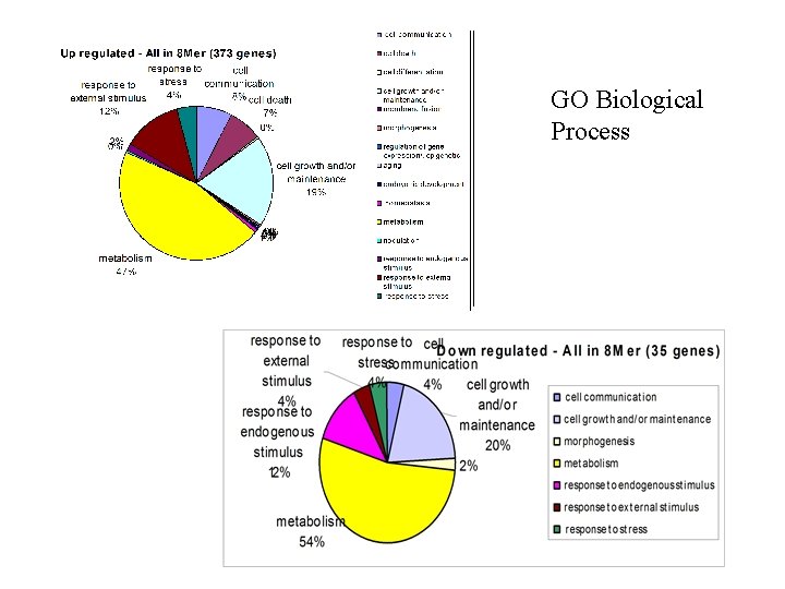 GO Biological Process 