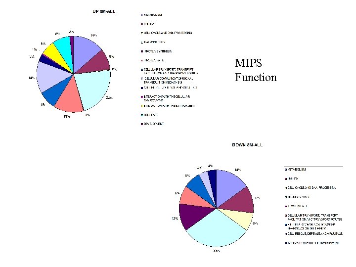 MIPS Function 