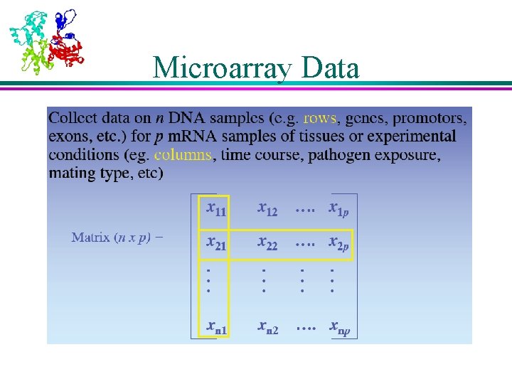 Microarray Data 