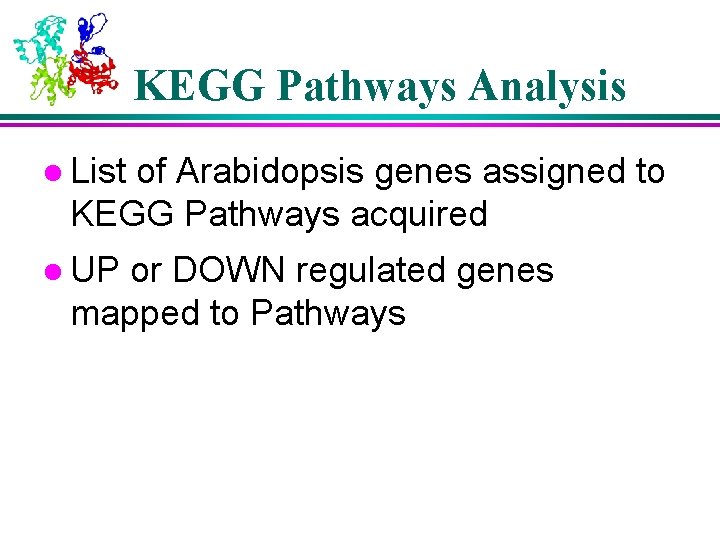 KEGG Pathways Analysis l List of Arabidopsis genes assigned to KEGG Pathways acquired l