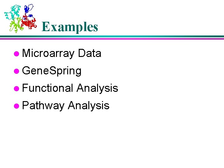Examples l Microarray Data l Gene. Spring l Functional l Pathway Analysis 
