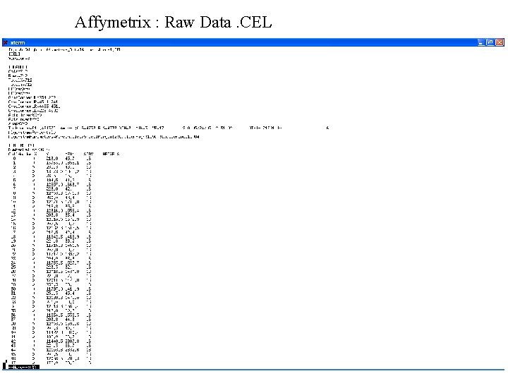 Affymetrix : Raw Data. CEL 