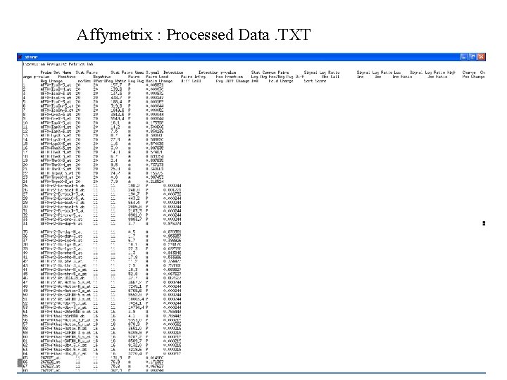 Affymetrix : Processed Data. TXT 