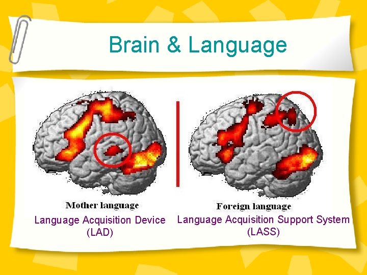 Brain & Language Acquisition Device Language Acquisition Support System (LASS) (LAD) 13 