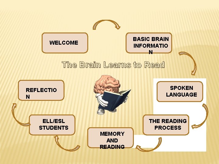 BASIC BRAIN INFORMATIO N WELCOME The Brain Learns to Read SPOKEN LANGUAGE REFLECTIO N