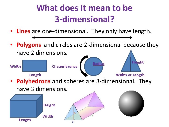 What does it mean to be 3 -dimensional? • Lines are one-dimensional. They only