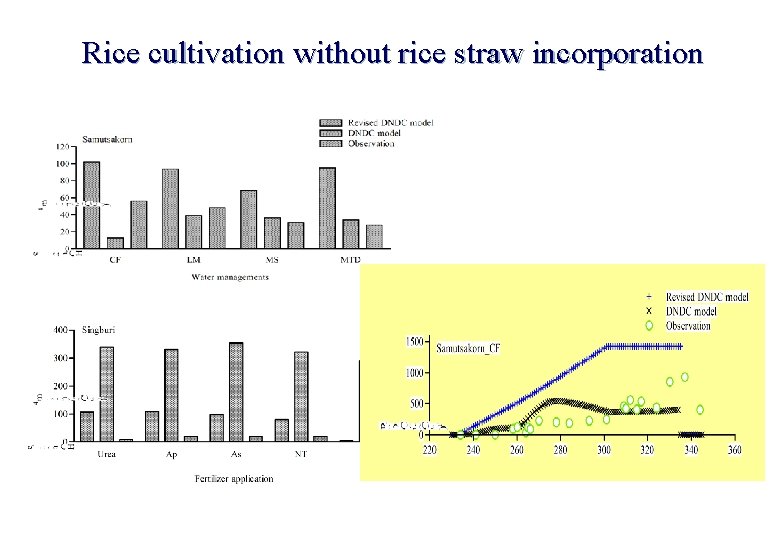 Rice cultivation without rice straw incorporation Rice cultivation without rice straw incorporation