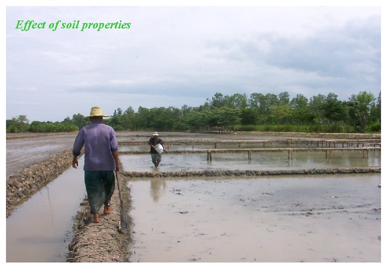Effect of soil properties Effect of soil properties