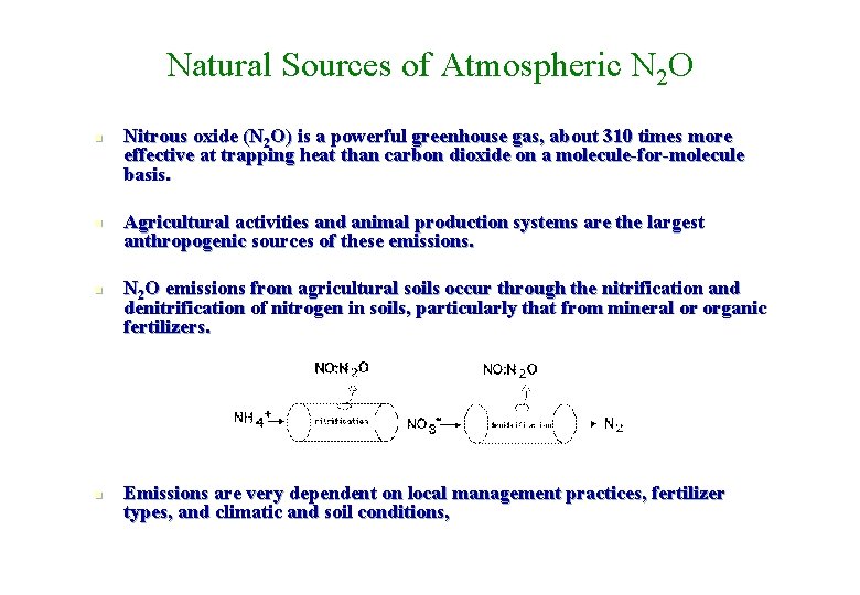 Natural Sources of Atmospheric N 2 O n n Nitrous oxide (N 2 O) Natural Sources of Atmospheric N 2 O n n Nitrous oxide (N 2 O)