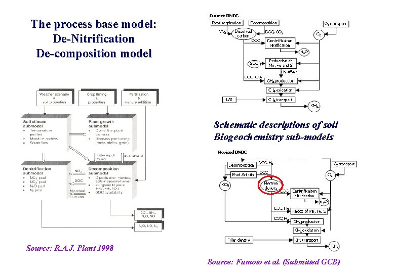 The process base model: De-Nitrification De-composition model Schematic descriptions of soil Biogeochemistry sub-models Source: The process base model: De-Nitrification De-composition model Schematic descriptions of soil Biogeochemistry sub-models Source: