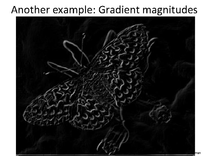 Another example: Gradient magnitudes Source: K. Grauman 