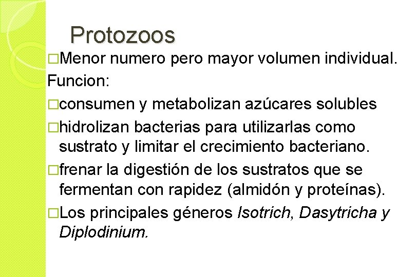 Protozoos �Menor numero pero mayor volumen individual. Funcion: �consumen y metabolizan azúcares solubles �hidrolizan