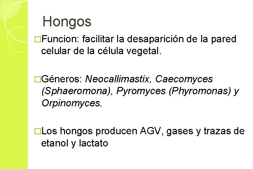 Hongos �Funcion: facilitar la desaparición de la pared celular de la célula vegetal. �Géneros: