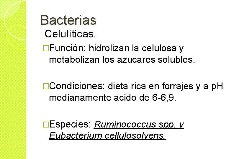 Bacterias Celulíticas. �Función: hidrolizan la celulosa y metabolizan los azucares solubles. �Condiciones: dieta rica