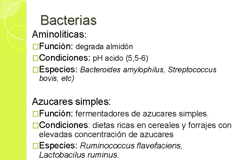 Bacterias Aminoliticas: �Función: degrada almidón �Condiciones: p. H acido (5, 5 -6) �Especies: Bacteroides