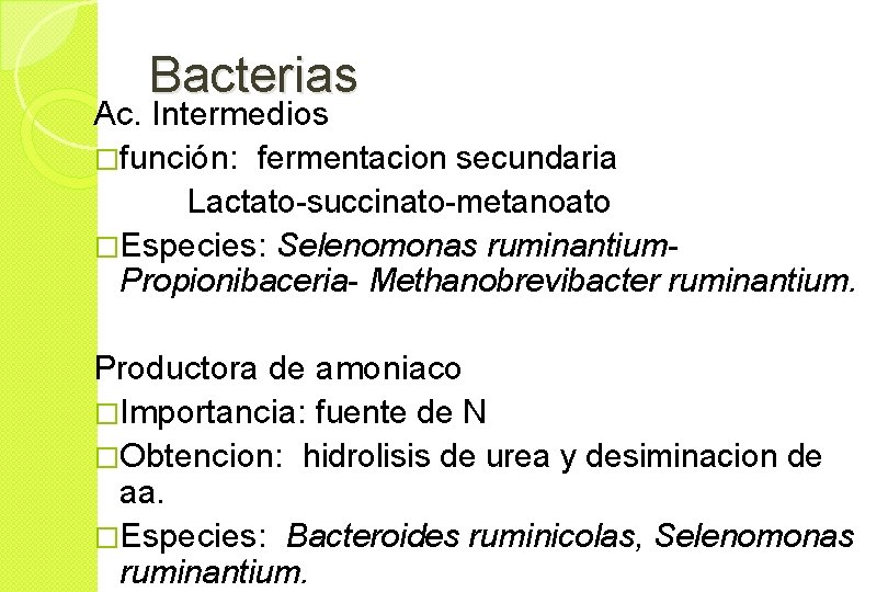 Bacterias Ac. Intermedios �función: fermentacion secundaria Lactato-succinato-metanoato �Especies: Selenomonas ruminantium. Propionibaceria- Methanobrevibacter ruminantium. Productora