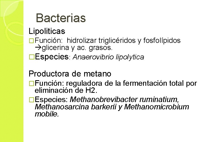 Bacterias Lipoliticas � Función: hidrolizar triglicéridos y fosfolípidos glicerina y ac. grasos. �Especies: Anaerovibrio