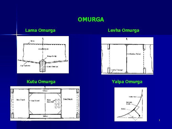 OMURGA Lama Omurga Kutu Omurga 3/6/2021 Levha Omurga Yalpa Omurga 1 