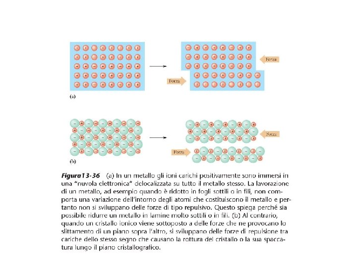 Figura 13 -36 In un metallo gli ioni carichi positivamente sono immersi in una