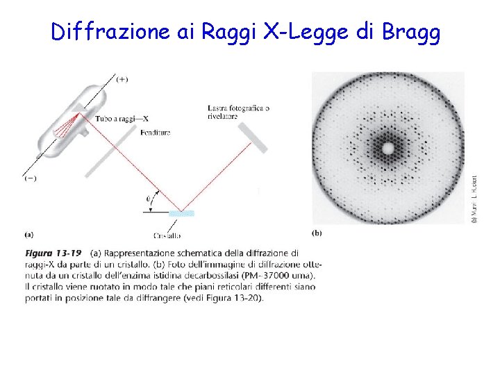 Diffrazione ai Raggi X-Legge di Bragg Figura 13 -19 Rappresentazione schematica della diffrazione di