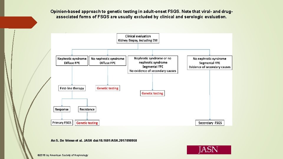 Opinion-based approach to genetic testing in adult-onset FSGS. Note that viral- and drugassociated forms