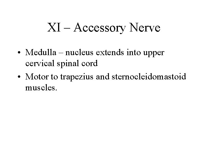 XI – Accessory Nerve • Medulla – nucleus extends into upper cervical spinal cord