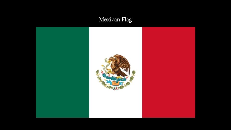 Mexican Flag 