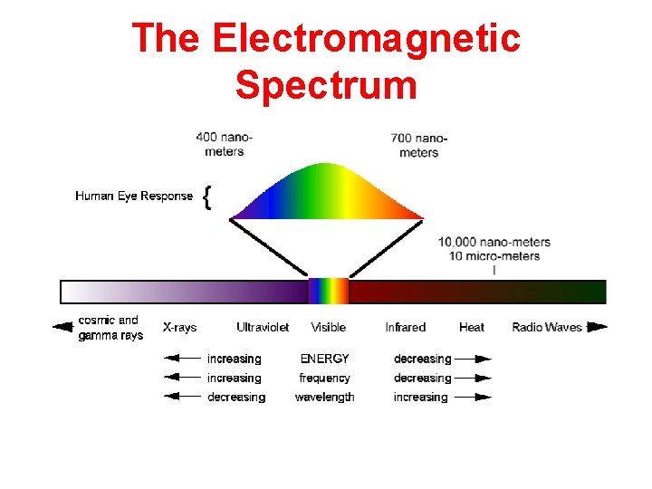 The Electromagnetic Spectrum 