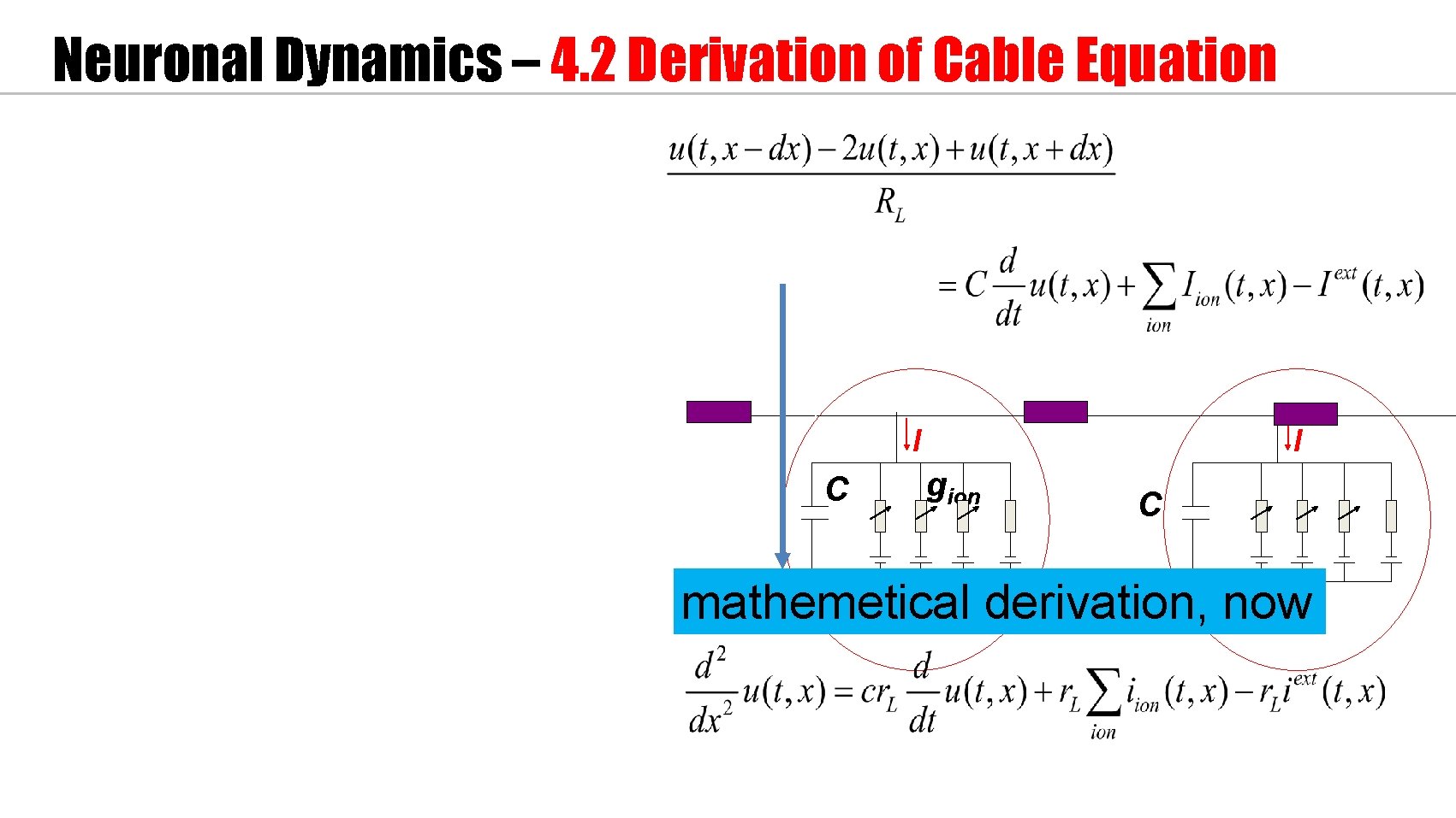 Neuronal Dynamics – 4. 2 Derivation of Cable Equation I C I gion C