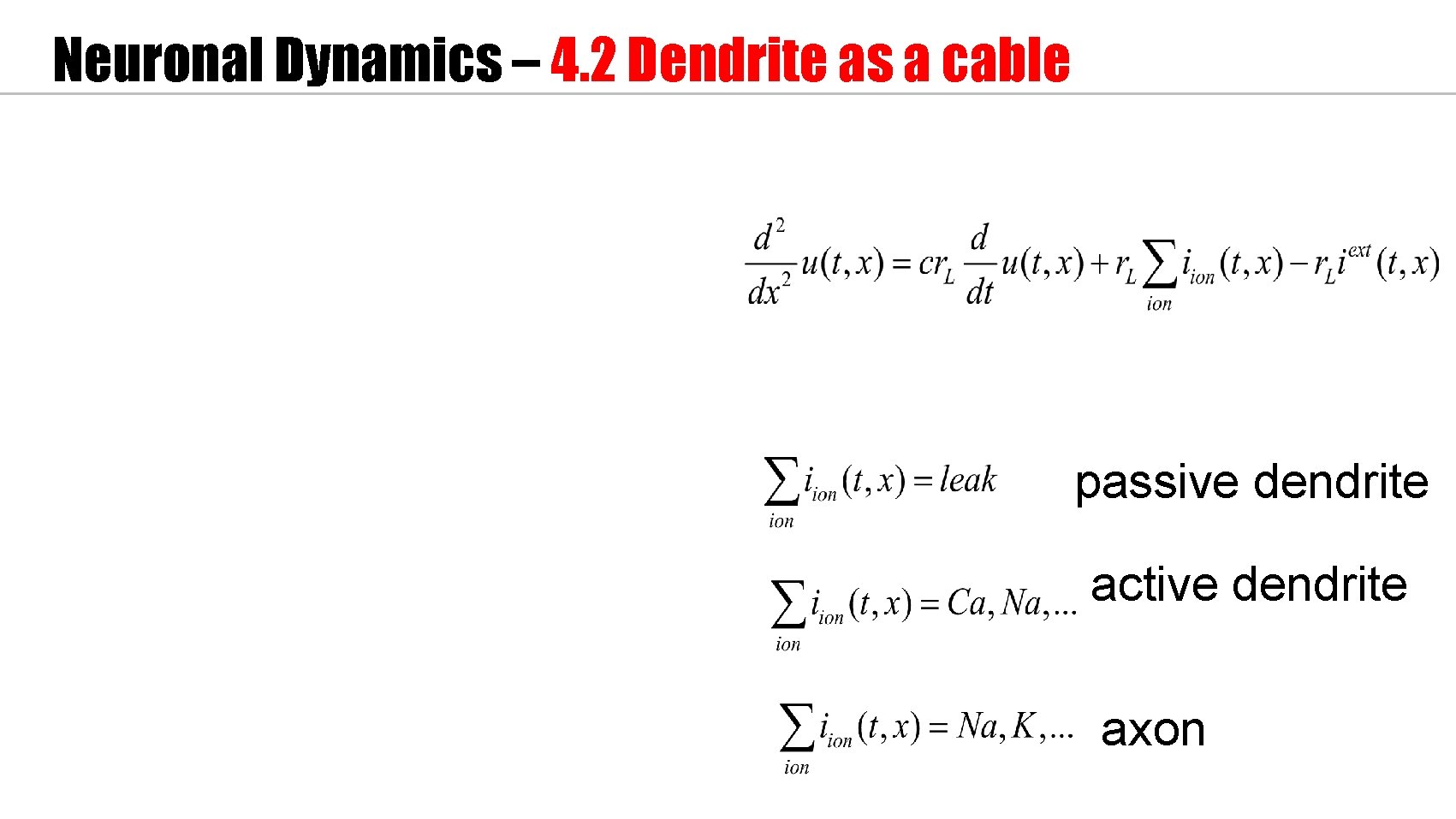 Neuronal Dynamics – 4. 2 Dendrite as a cable passive dendrite active dendrite axon