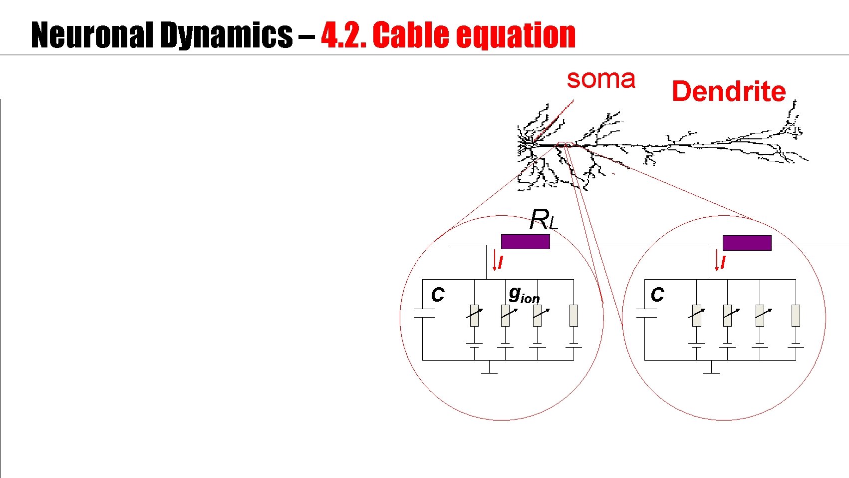 Neuronal Dynamics – 4. 2. Cable equation soma Dendrite RL I C I gion