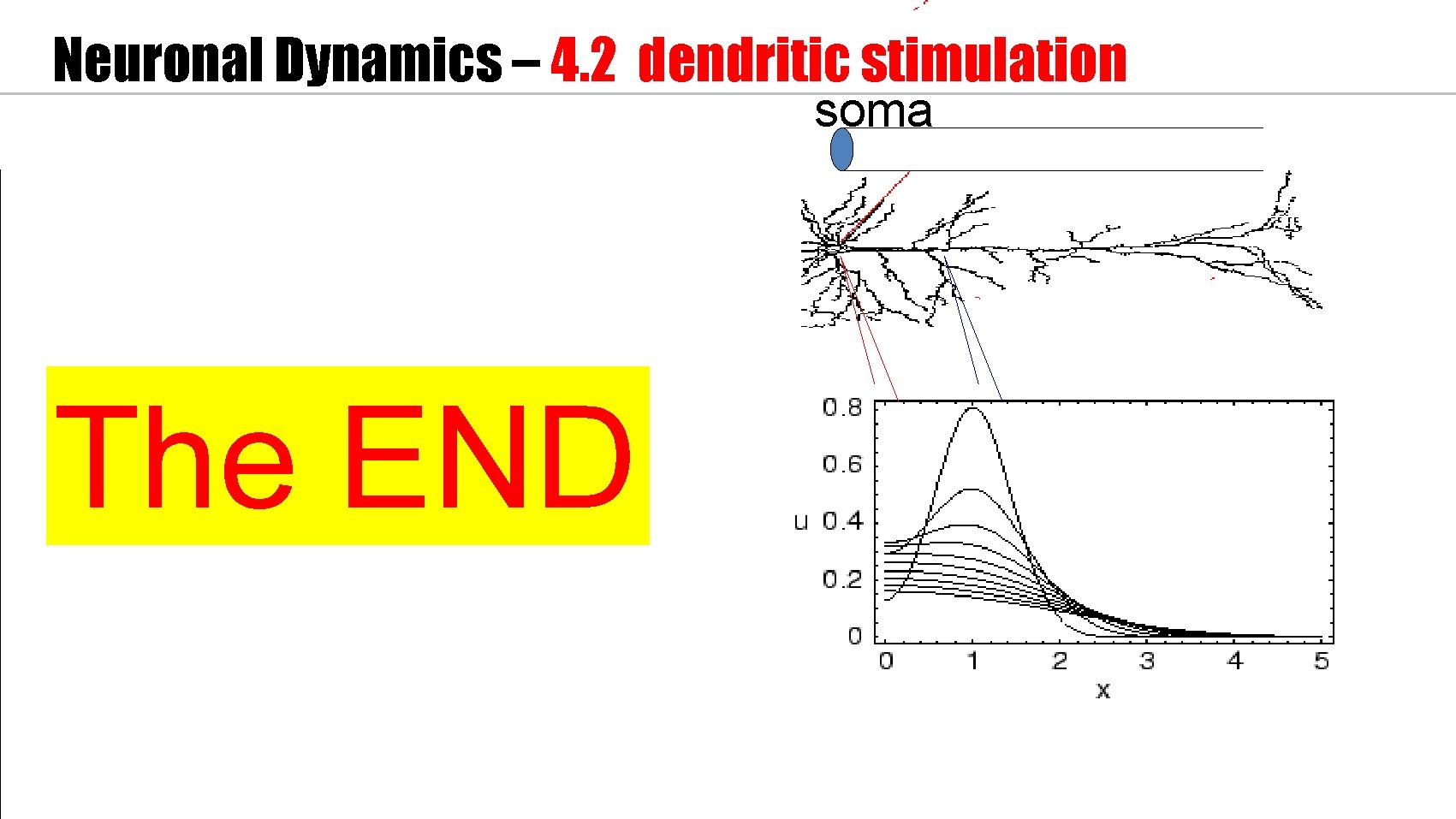 Neuronal Dynamics – 4. 2 dendritic stimulation soma The END 