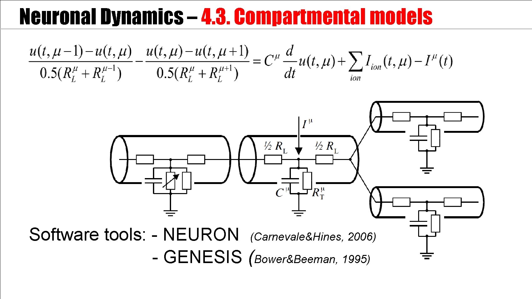 Neuronal Dynamics – 4. 3. Compartmental models Software tools: - NEURON (Carnevale&Hines, 2006) -