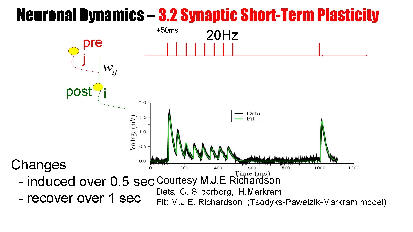 Neuronal Dynamics – 3. 2 Synaptic Short-Term Plasticity +50 ms pre j 20 Hz