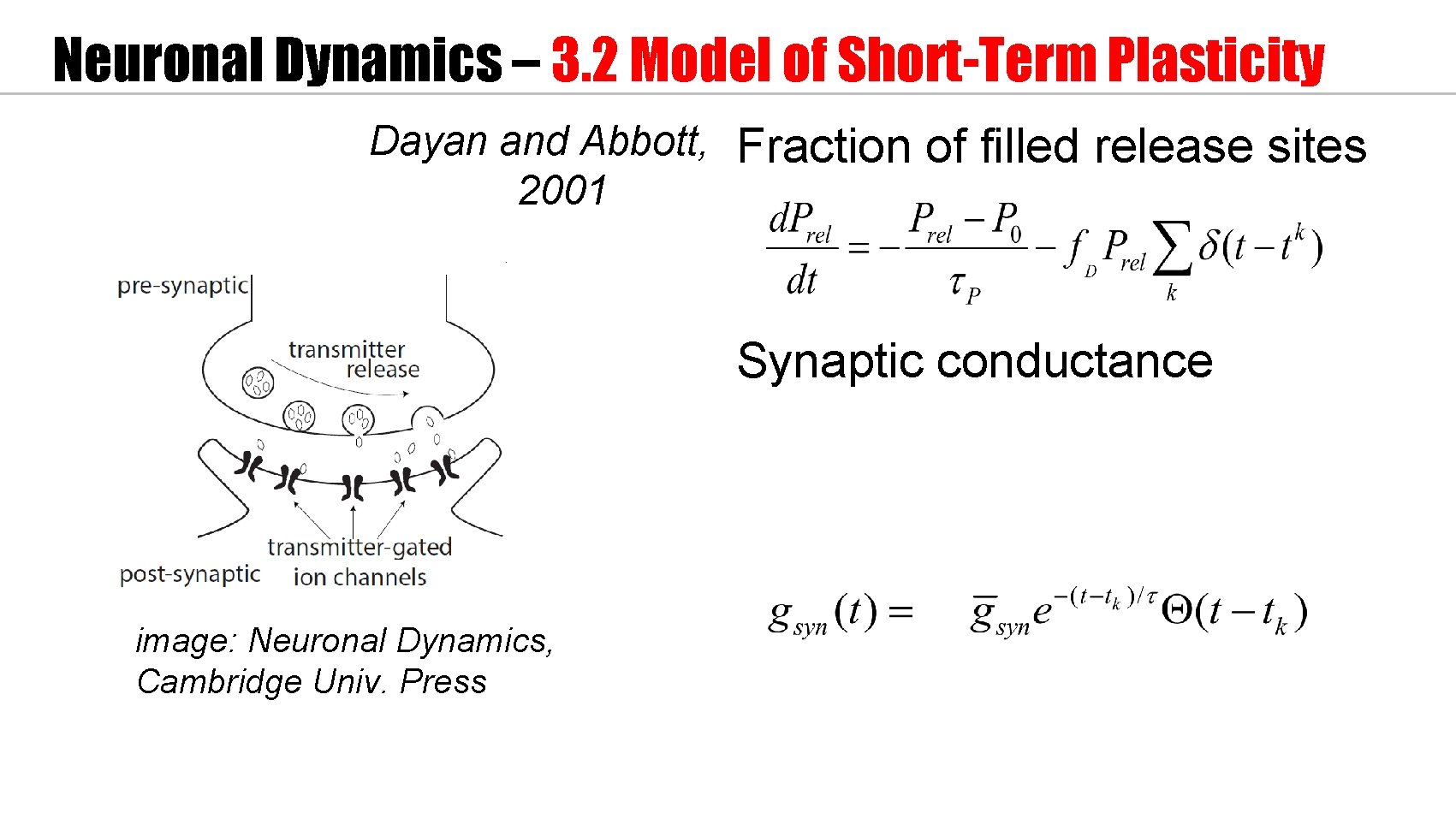 Neuronal Dynamics – 3. 2 Model of Short-Term Plasticity Dayan and Abbott, Fraction of