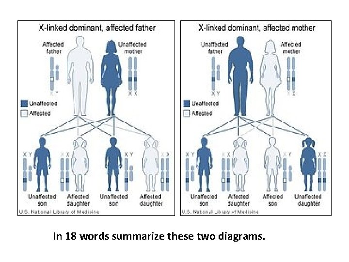 In 18 words summarize these two diagrams. 