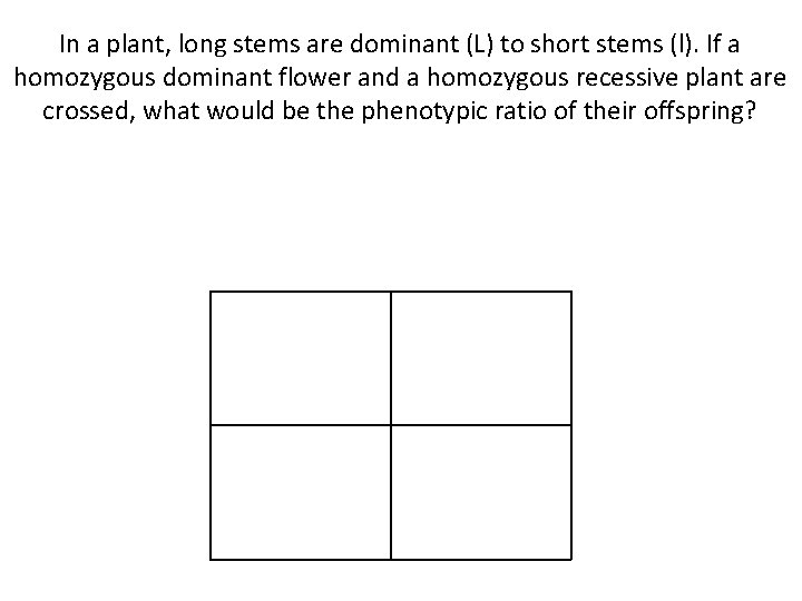 In a plant, long stems are dominant (L) to short stems (l). If a