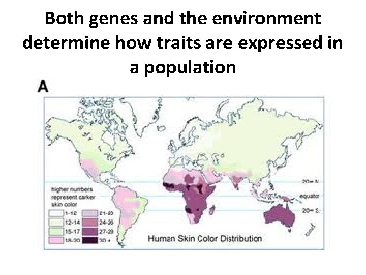 Both genes and the environment determine how traits are expressed in a population 