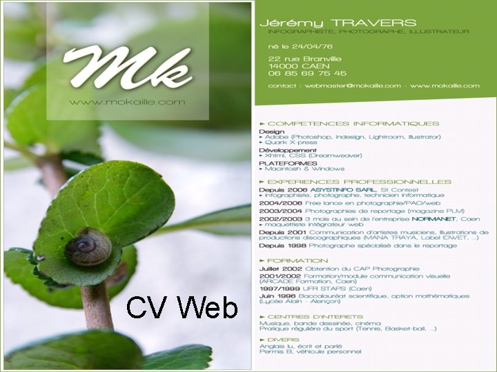 CV Web 