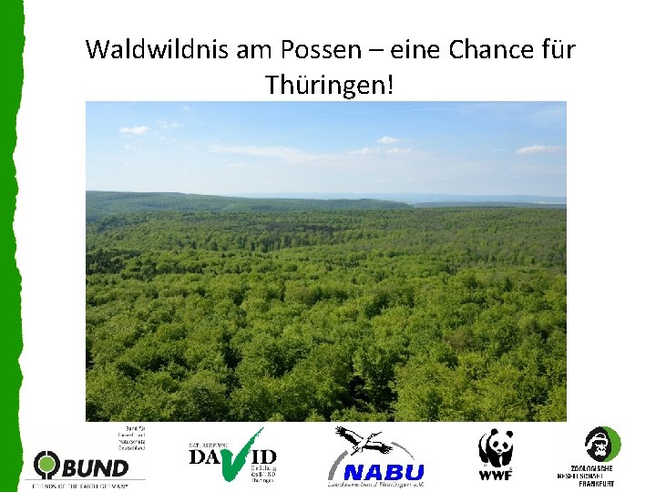 Waldwildnis am Possen – eine Chance für Thüringen! 