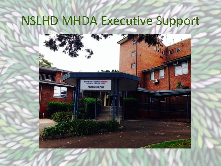 NSLHD MHDA Executive Support 