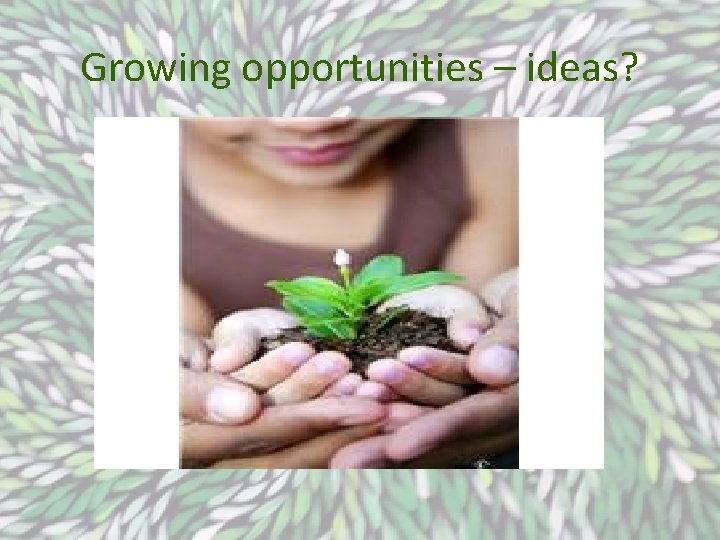 Growing opportunities – ideas? 