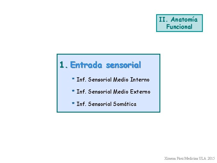 II. Anatomía Funcional 1. Entrada sensorial * Inf. Sensorial Medio Interno * Inf. Sensorial